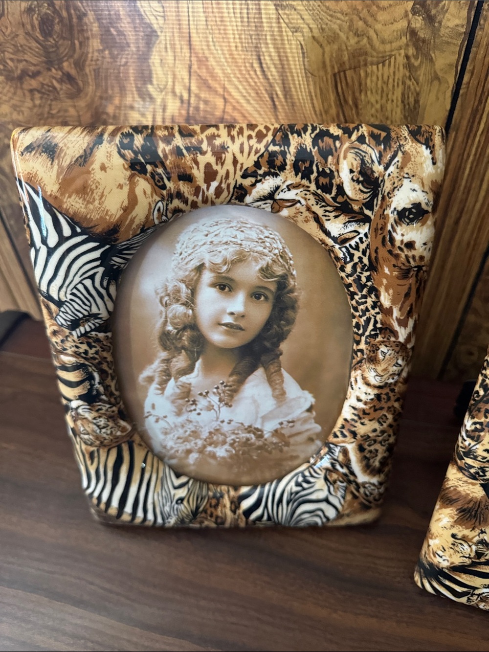 Decorative Leopard & Zebra Print Photo Frame set - Picture 5 of 6